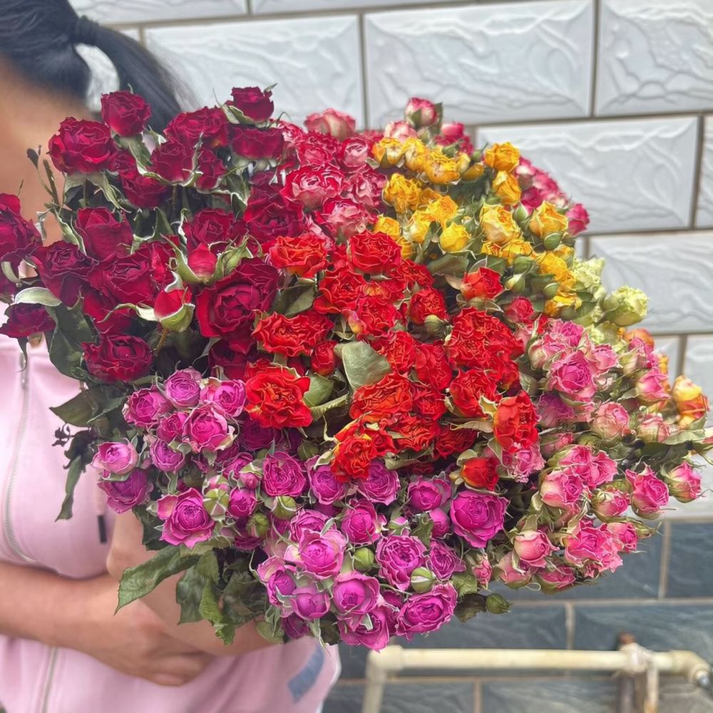 Doğal Kurutulmuş Balon Gül Çiç - Resin Art Rose incelemesi ve fiyatı