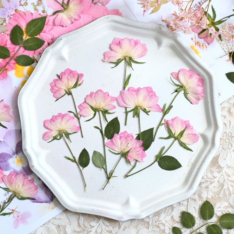 12 adet, Telefon Kılıfı DIY Pe - Resin Art Baby incelemesi ve fiyatı