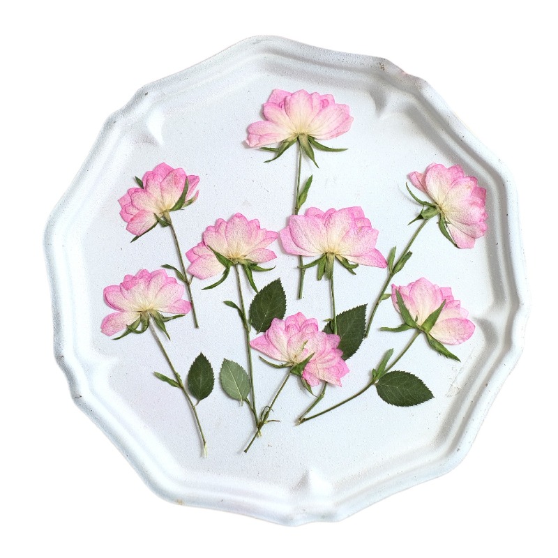 12 adet, Telefon Kılıfı DIY Pe - Resin Art Baby incelemesi ve fiyatı
