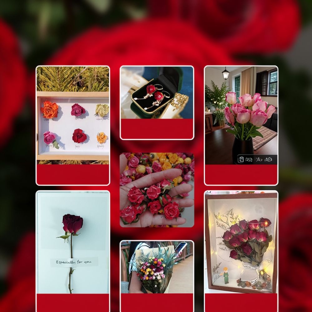 Doğal Kurutulmuş Gül Çiçeği Bu - Resin Art Rose incelemesi ve fiyatı